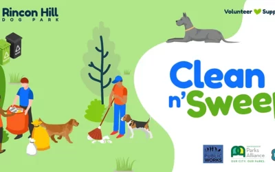 Clean ‘n Sweep is Sunday, Jan. 26th