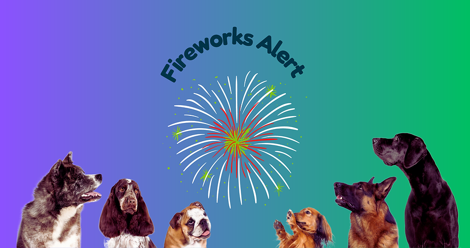 Fireworks Alert for Dog Owners: Tips to Calm Your Pup During Loud Displays