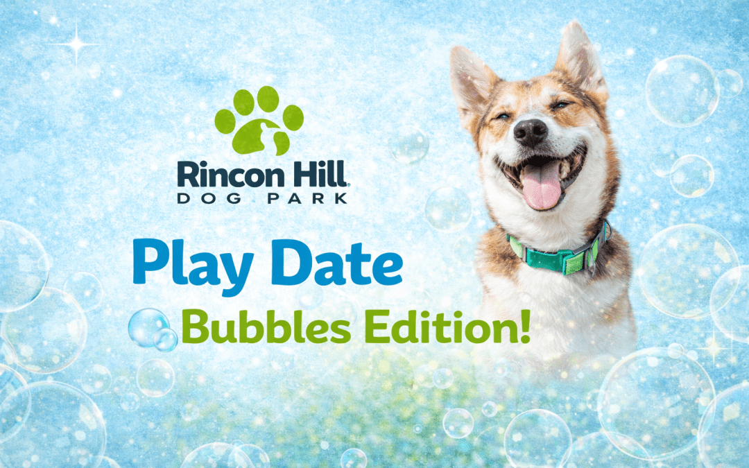Rincon Hill Dog Park Play Date (Bubbles Edition) + Park Cleanliness Reminder