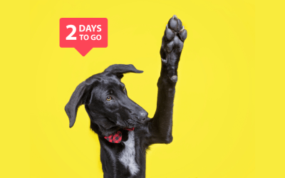 Urgent: Only Two Days Left to Save Our Dog Park!